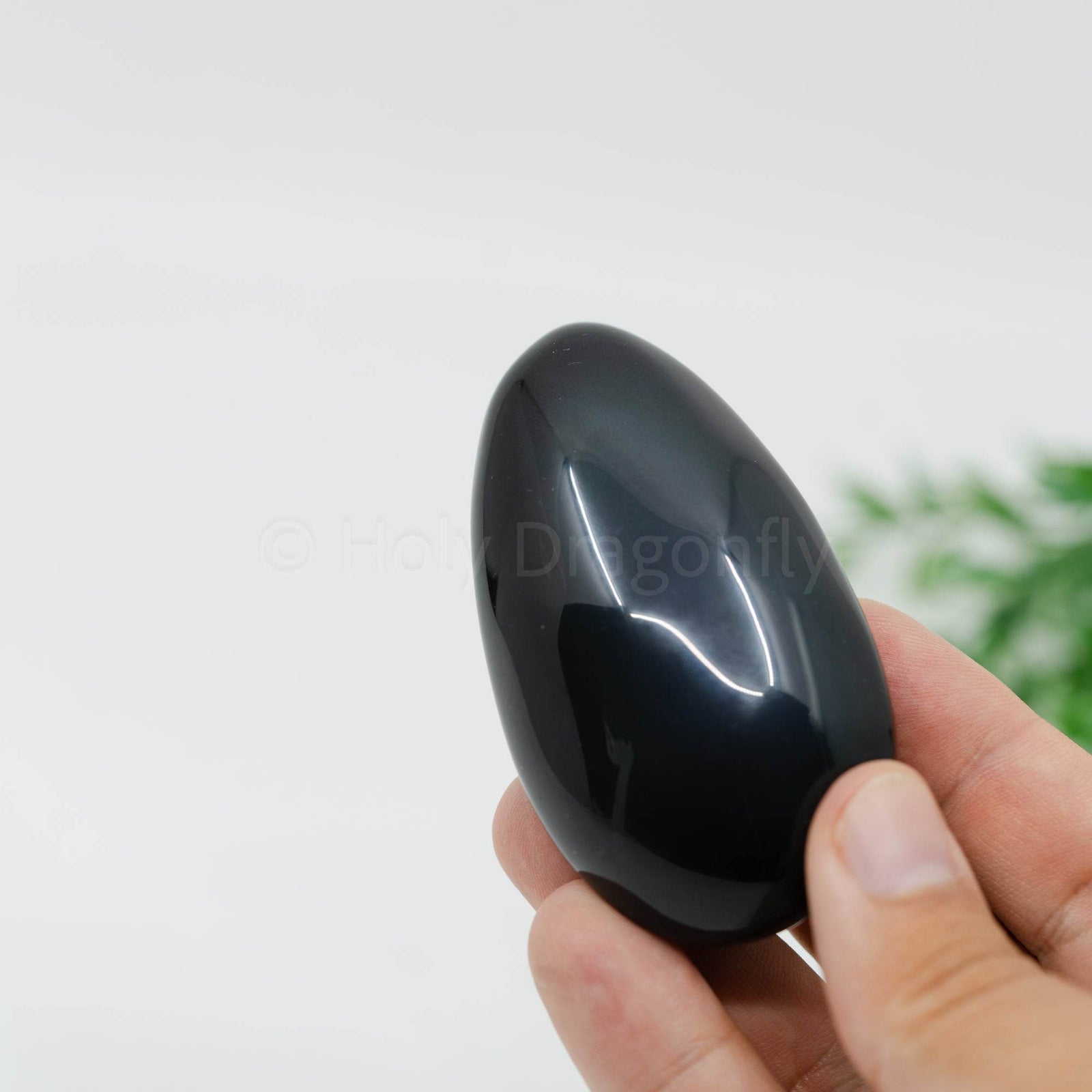 Vaivorykštinis Obsidianas delninukas - Holy Dragonfly