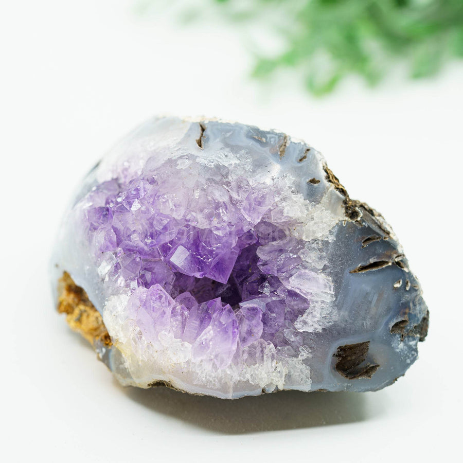 Ametistas-Agatas geoda 416gr - Holy Dragonfly