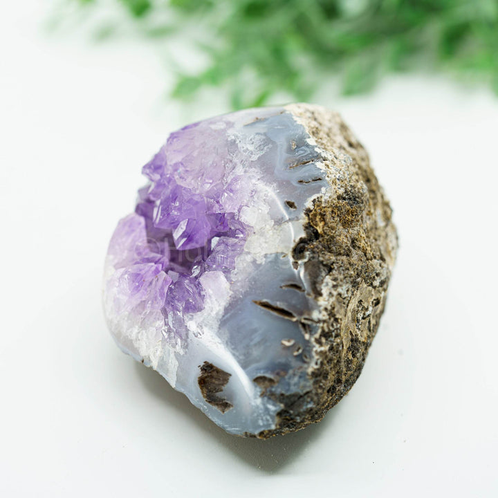 Ametistas-Agatas geoda 416gr - Holy Dragonfly