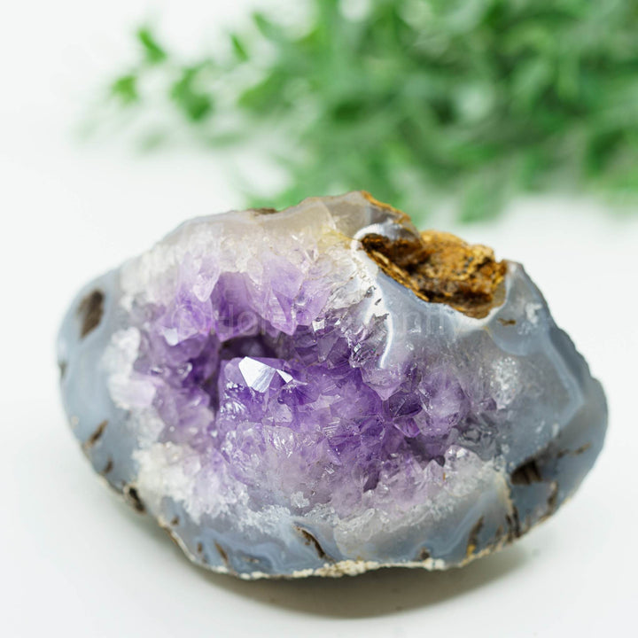 Ametistas-Agatas geoda 416gr - Holy Dragonfly