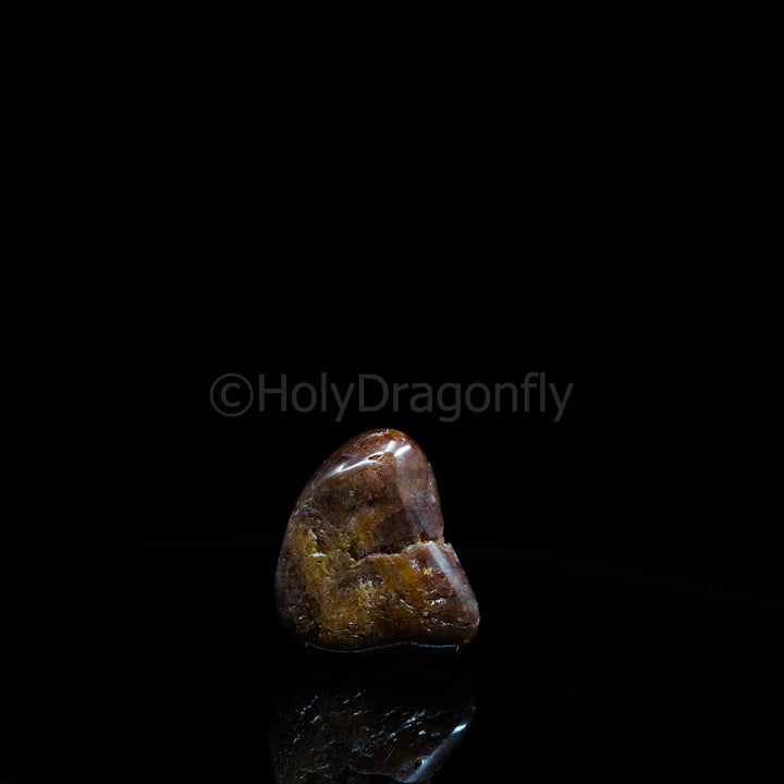 Cirkonis/Hiacintas - Holy Dragonfly