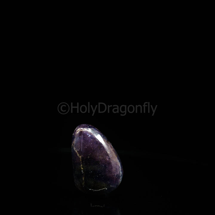 Jolitas/Kordieritas - Holy Dragonfly