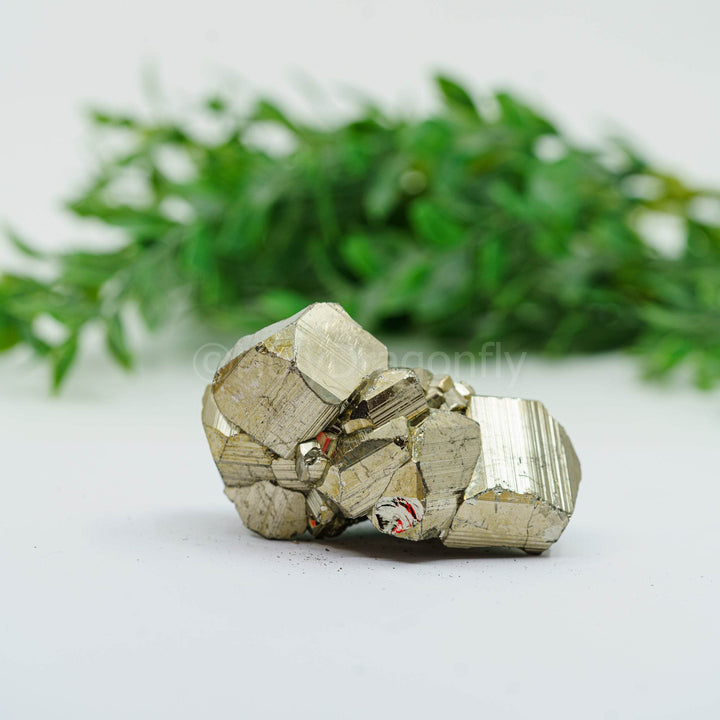 Piritas mineralas (EXTRA) - Holy Dragonfly