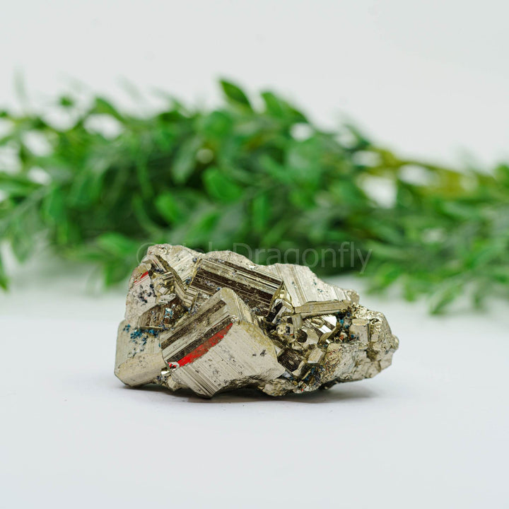 Piritas mineralas (EXTRA) - Holy Dragonfly