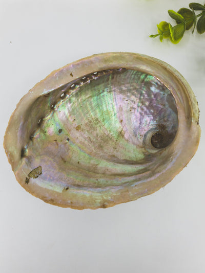 kriaukle smilkymui