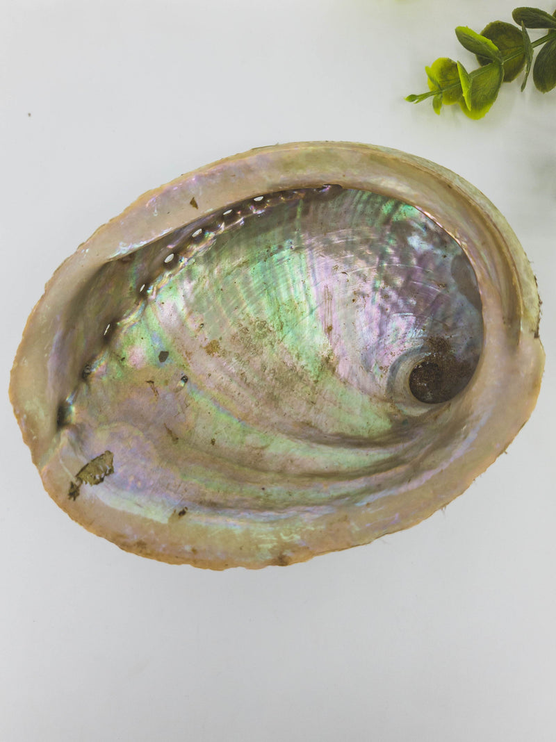 kriaukle smilkymui