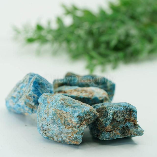 Apatitas mineralas - Holy Dragonfly