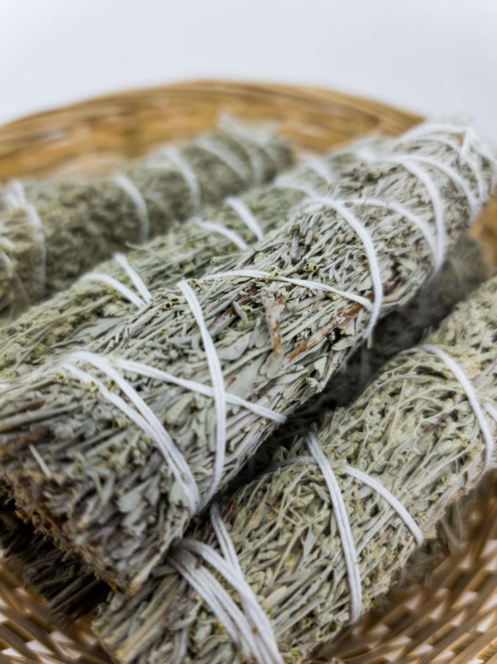 Melsvasis šalavijas - shasta sage (blue sage) - Holy Dragonfly