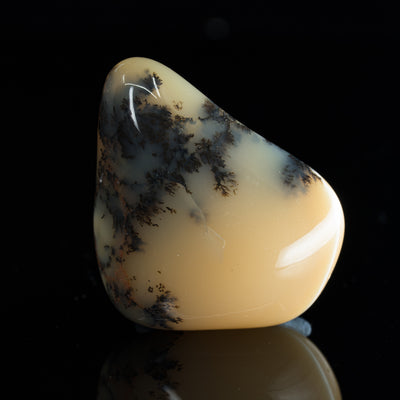 dendritinis opalas kristalas