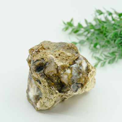 Dendritinis opalas Mineralas "810gr"