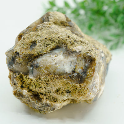 Dendritinis opalas Mineralas "810gr"