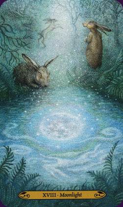 Forest of Enchantment Taro - Holy Dragonfly