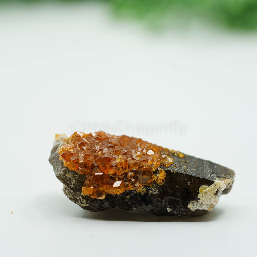 Granatas (Spesartinas) mineralas - Holy Dragonfly
