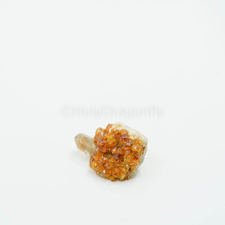 Granatas (Spesartinas) mineralas - Holy Dragonfly
