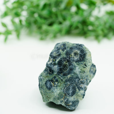 Kambaba Jaspis mineralas