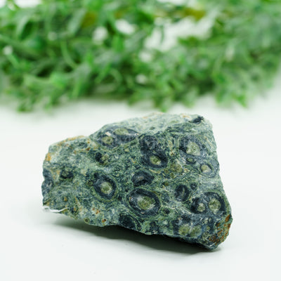 Kambaba Jaspis mineralas