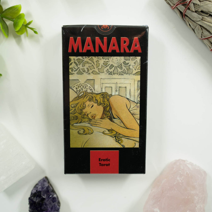 Manara Taro kortos - Holy Dragonfly