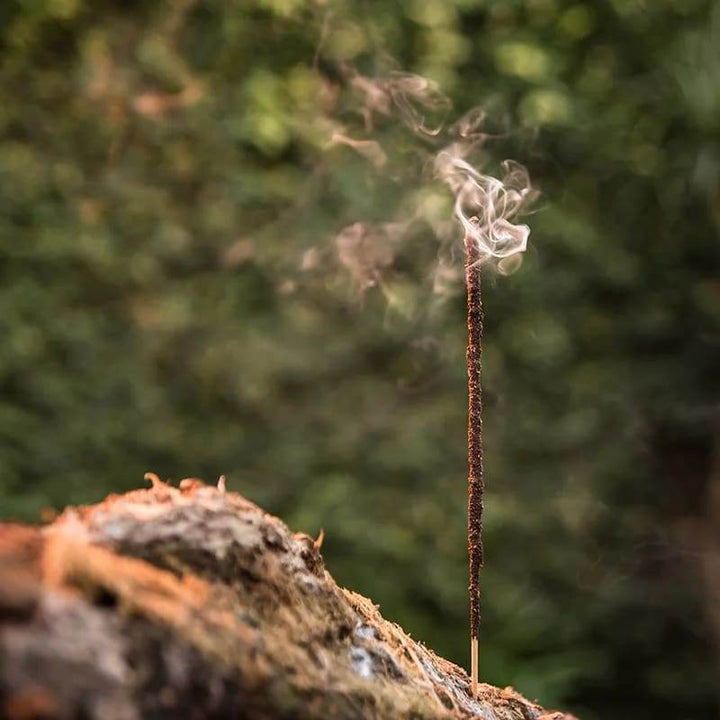 Sagrada Madre Myrrh - Holy Dragonfly
