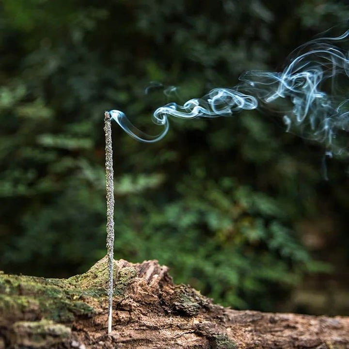Sagrada Madre Copal - Holy Dragonfly