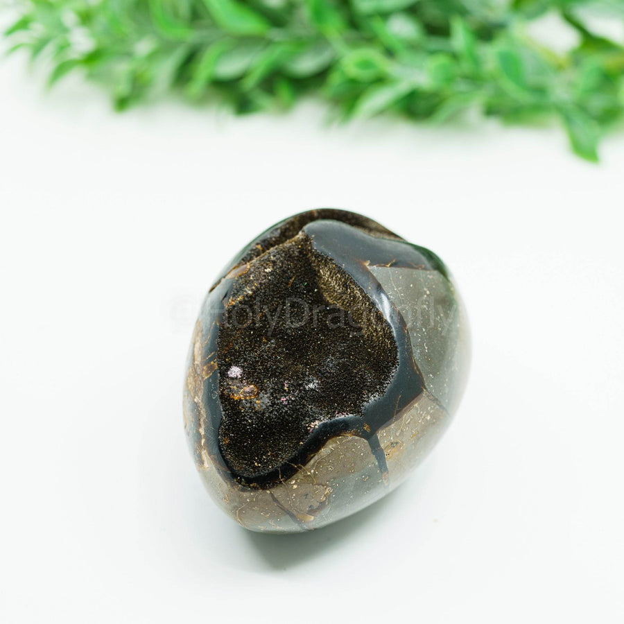 Septarija (drakono akmuo) 264gr - Holy Dragonfly
