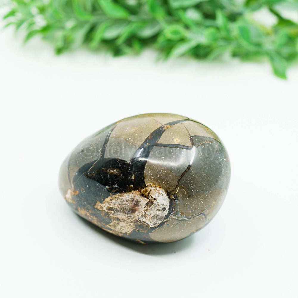 Septarija (drakono akmuo) 264gr - Holy Dragonfly