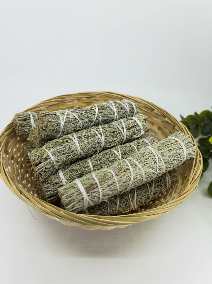 Melsvasis šalavijas - shasta sage (blue sage) - Holy Dragonfly