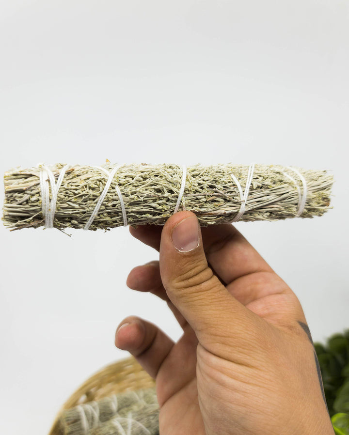 Melsvasis šalavijas - shasta sage (blue sage) - Holy Dragonfly