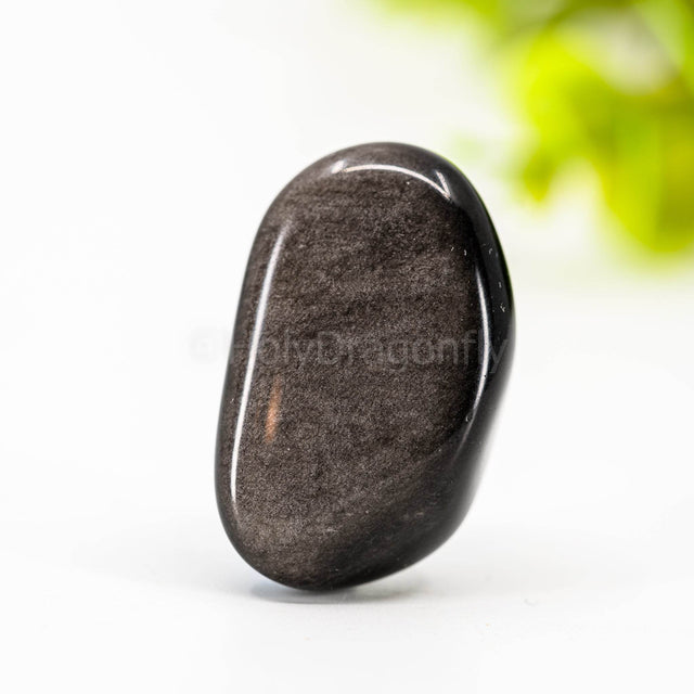 Sidabrinis Obsidianas - Holy Dragonfly