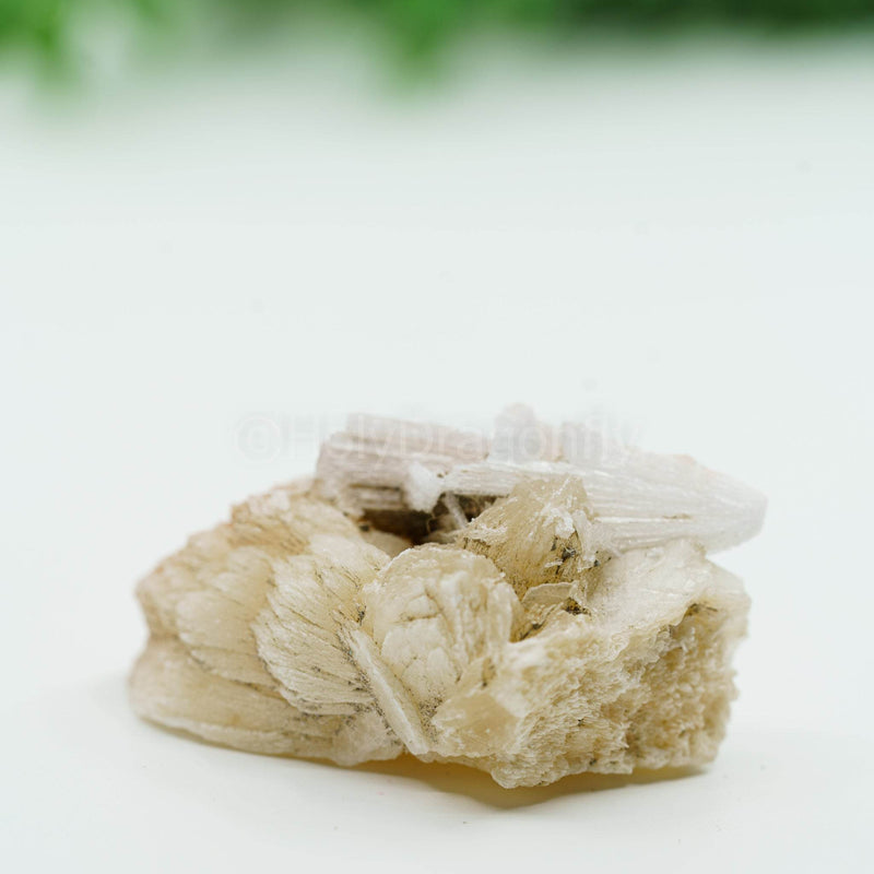 Skolecitas mineralas