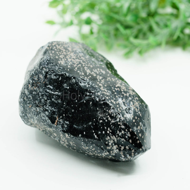 Snaiginis obsidianas mineralas - Holy Dragonfly