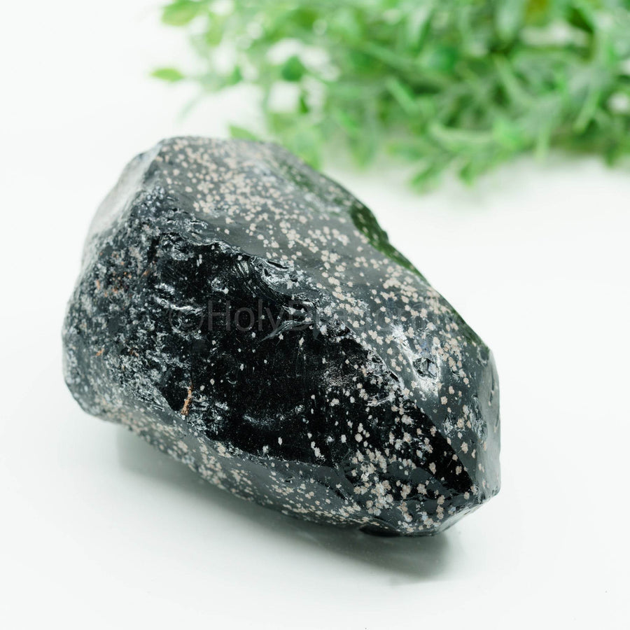 Snaiginis obsidianas mineralas - Holy Dragonfly