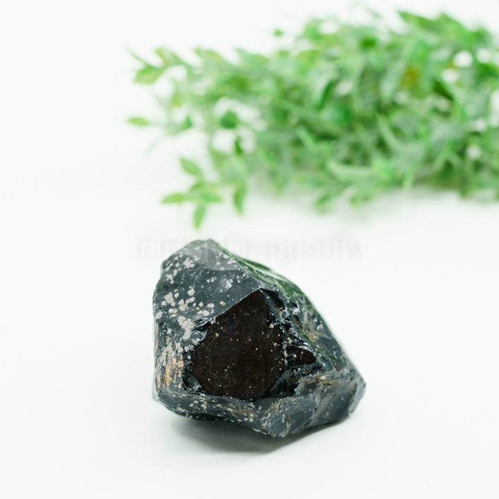 Snaiginis obsidianas mineralas - Holy Dragonfly