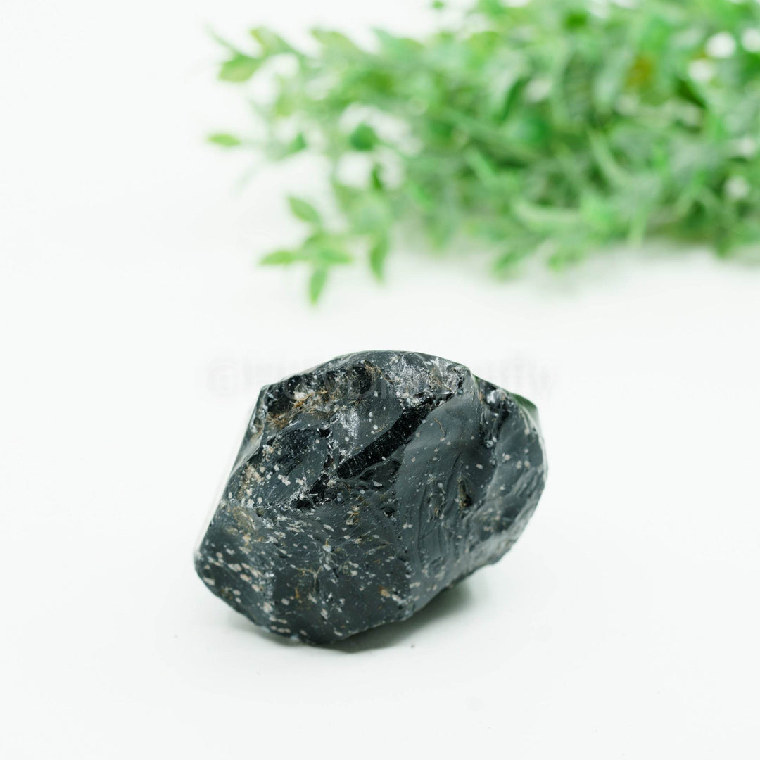 Snaiginis obsidianas mineralas - Holy Dragonfly