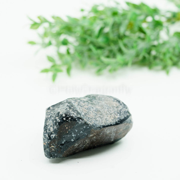 Snaiginis obsidianas mineralas - Holy Dragonfly