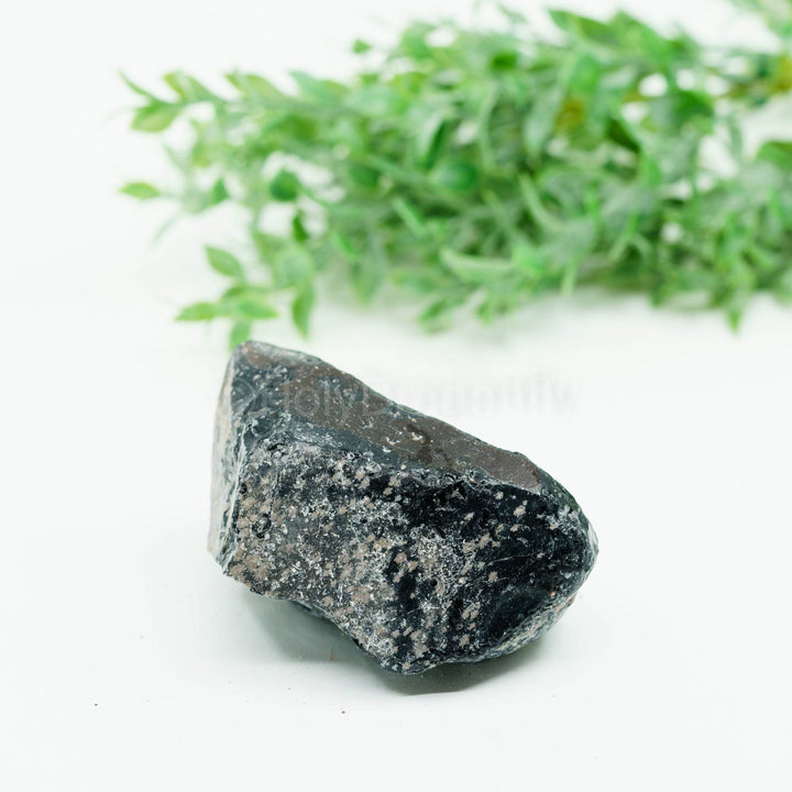 Snaiginis obsidianas mineralas - Holy Dragonfly