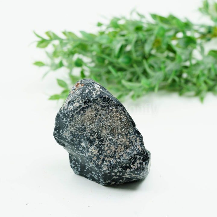 Snaiginis obsidianas mineralas - Holy Dragonfly