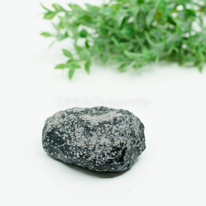 Snaiginis obsidianas mineralas - Holy Dragonfly