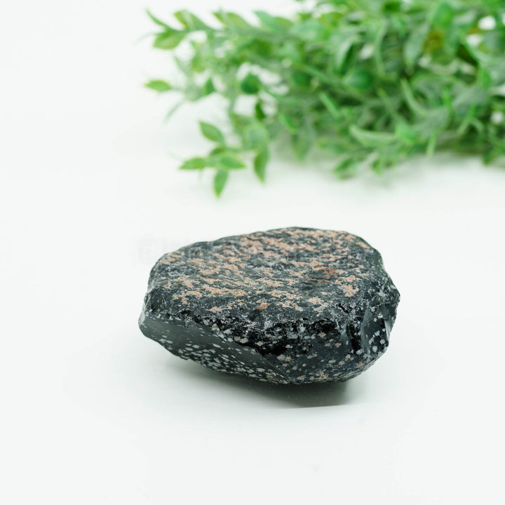 Snaiginis obsidianas mineralas - Holy Dragonfly