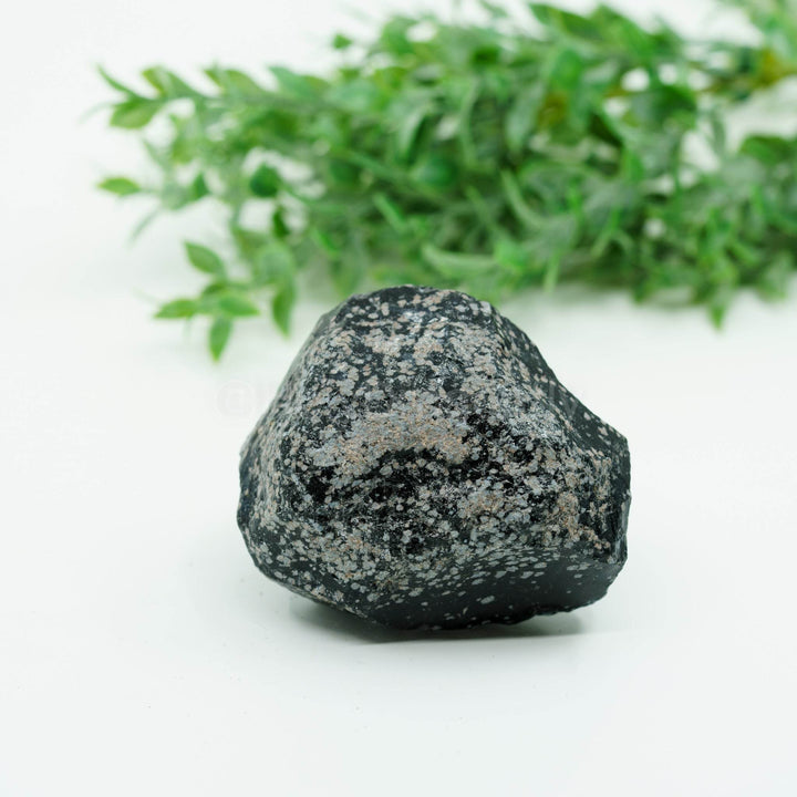 Snaiginis obsidianas mineralas - Holy Dragonfly