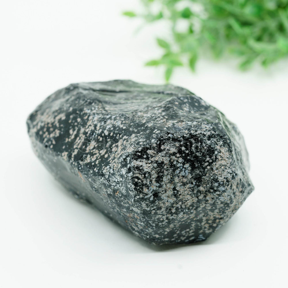 Snaiginis obsidianas mineralas - Holy Dragonfly
