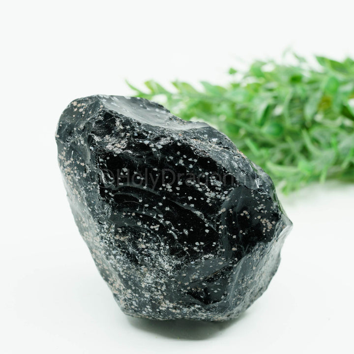 Snaiginis obsidianas mineralas - Holy Dragonfly