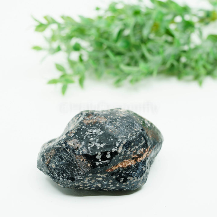 Snaiginis obsidianas mineralas - Holy Dragonfly