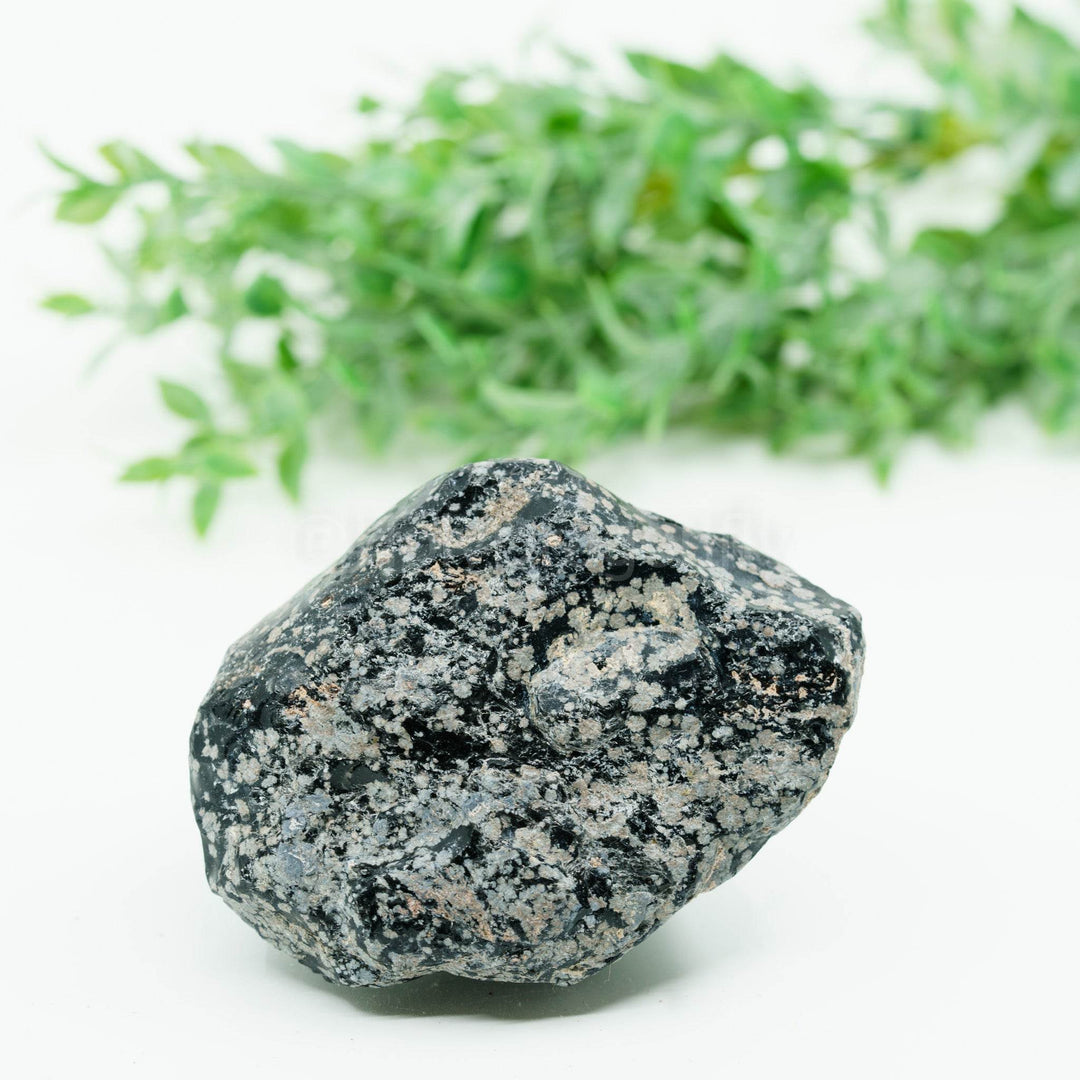 Snaiginis obsidianas mineralas - Holy Dragonfly