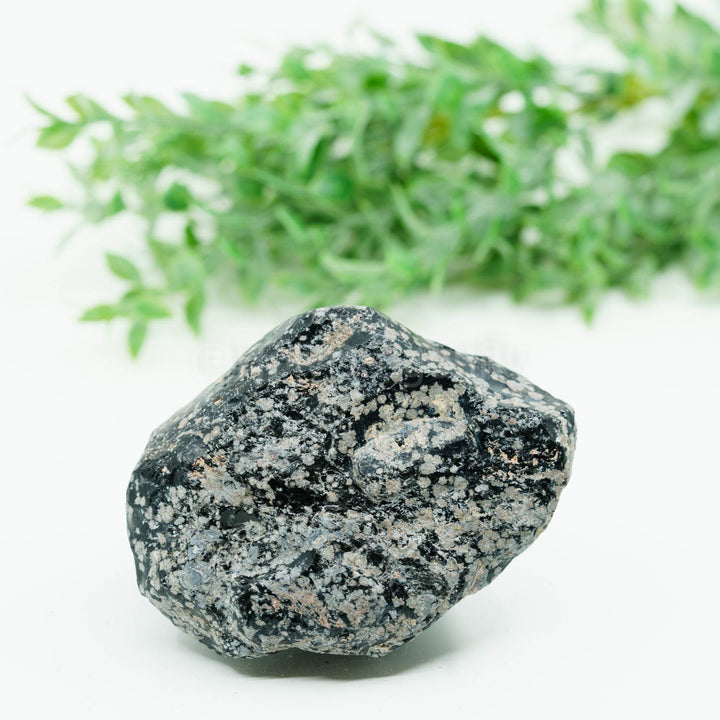 Snaiginis obsidianas mineralas - Holy Dragonfly