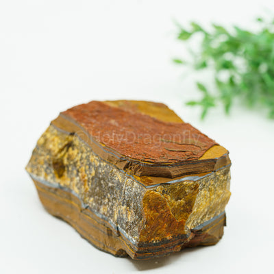 Tigro Akis mineralas "A" 825gr