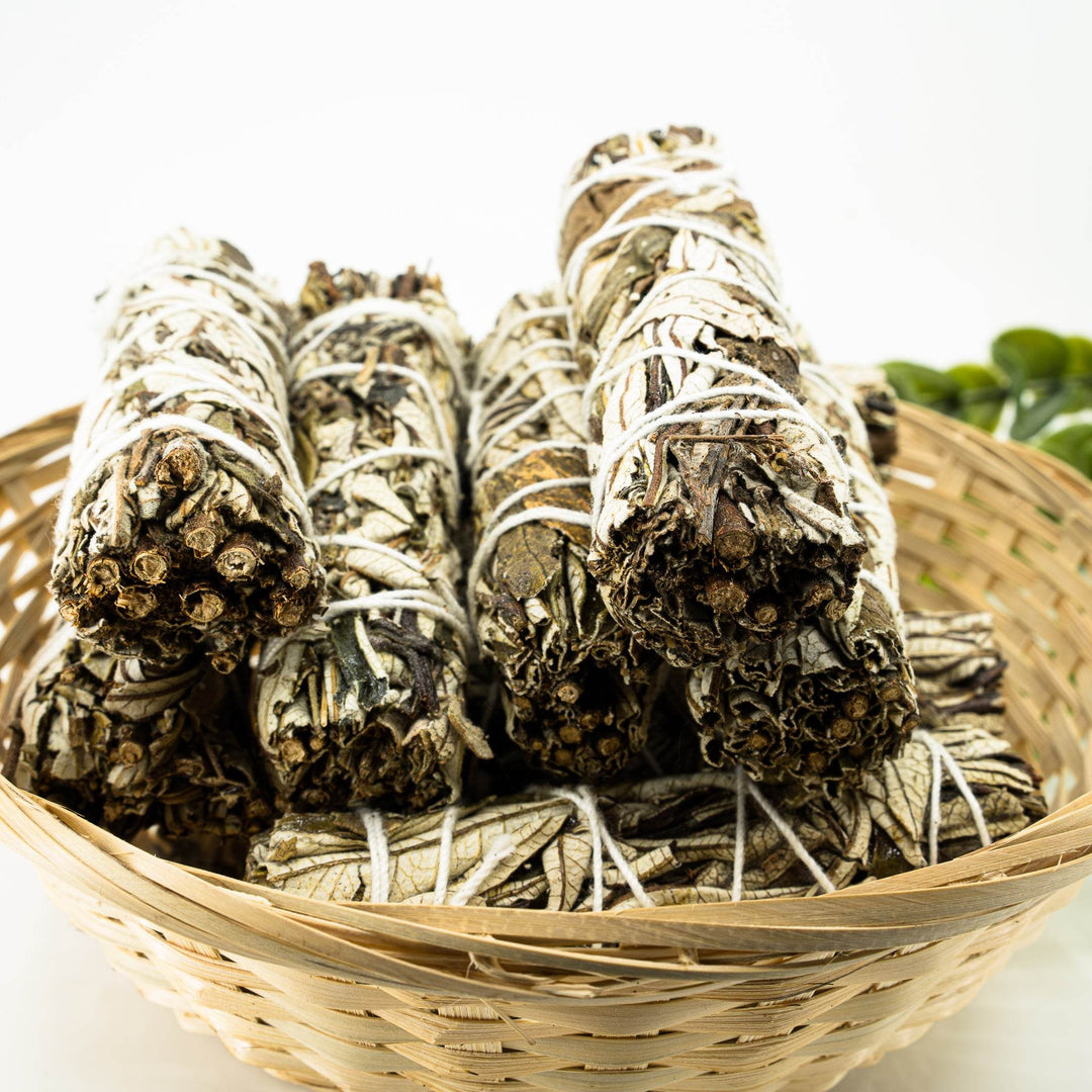 Yerba Santa (Hoja Santa) - Holy Dragonfly