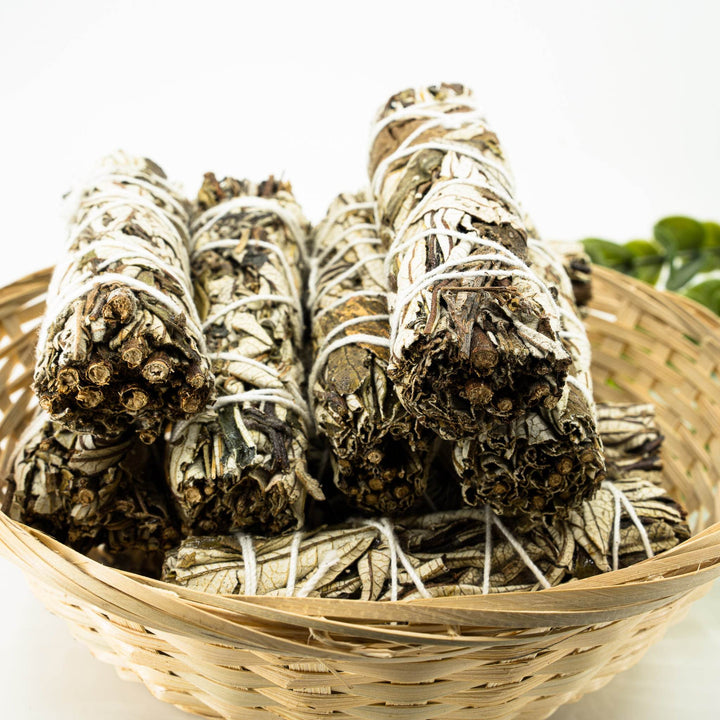 Yerba Santa (Hoja Santa) - Holy Dragonfly
